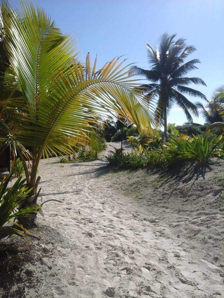 Hotel Zazil Kin Tulum Ngoại thất bức ảnh